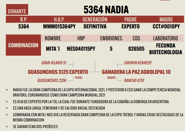 Lote LOTE 6