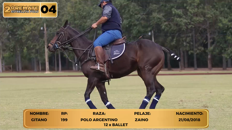 Lote LOTE 4