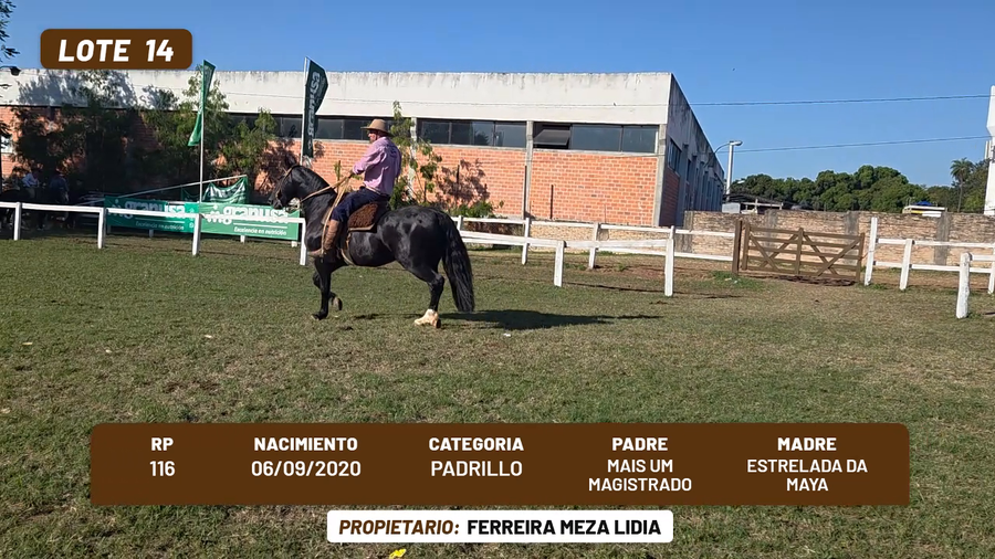 Lote LOTE 14