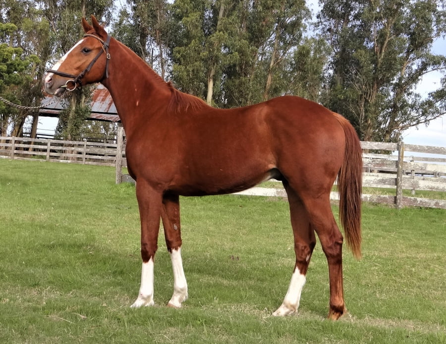 Lote DISCRECIÓN PERDIDA