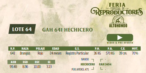 Lote LOTE 64