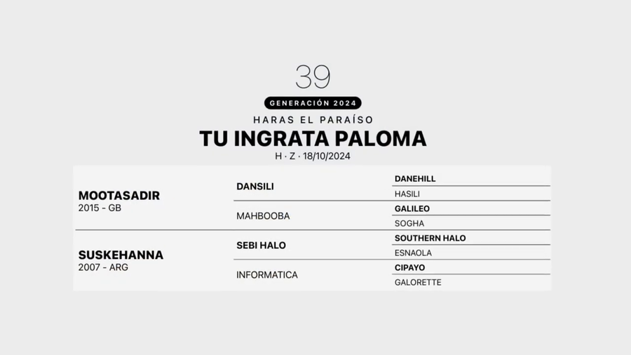 Lote TU INGRATA PALOMA