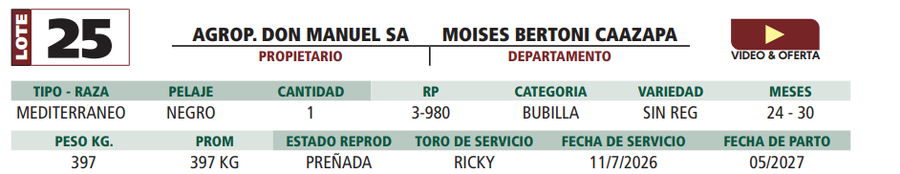 Lote LOTE 25