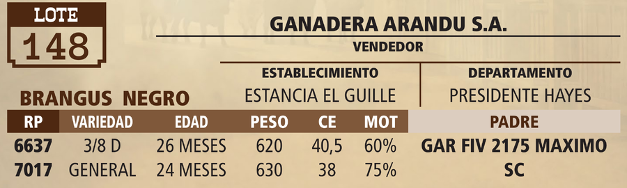 Lote LOTE 148 - VIVO