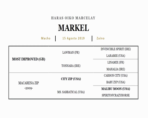 Lote OUTSHINED (CATCHER IN THE RYE - FORTY MONTERA)