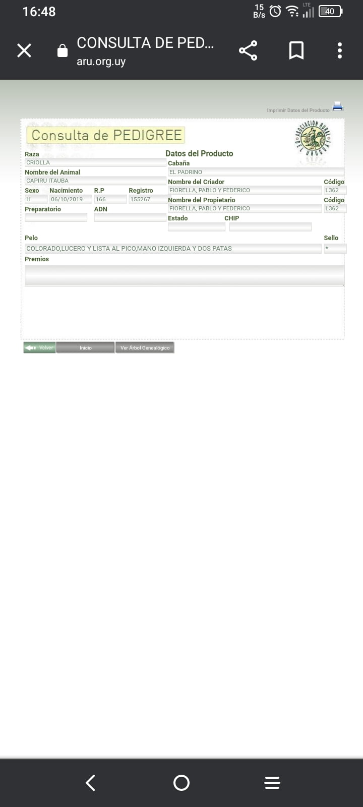 Lote CAPIRU ITAUBA RP 166