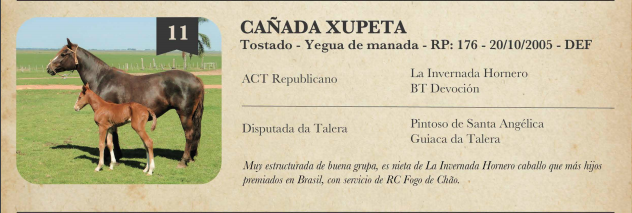 Lote Criollos da Fronteira Cañada Xupeta RP: 176