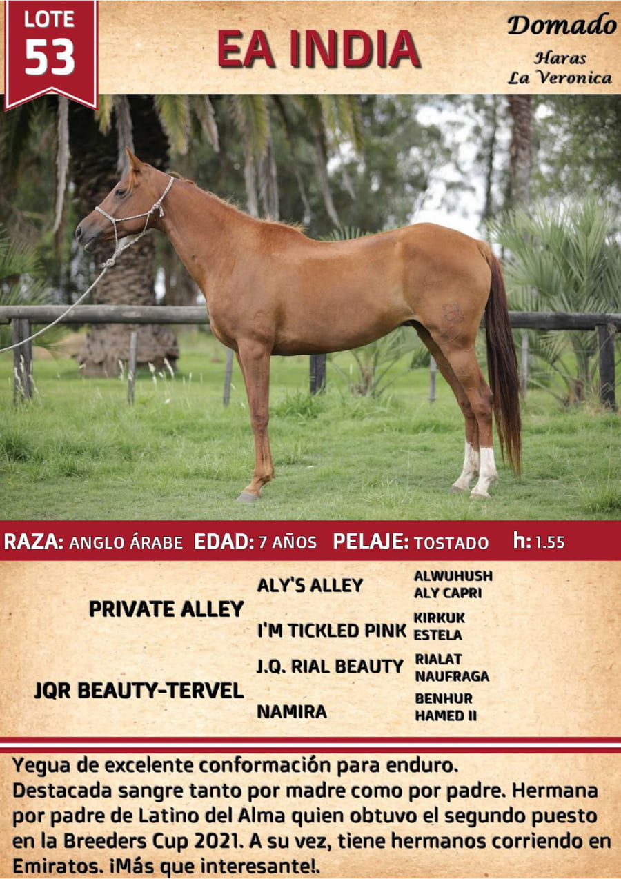 Lote INDIA DEL ALMA
