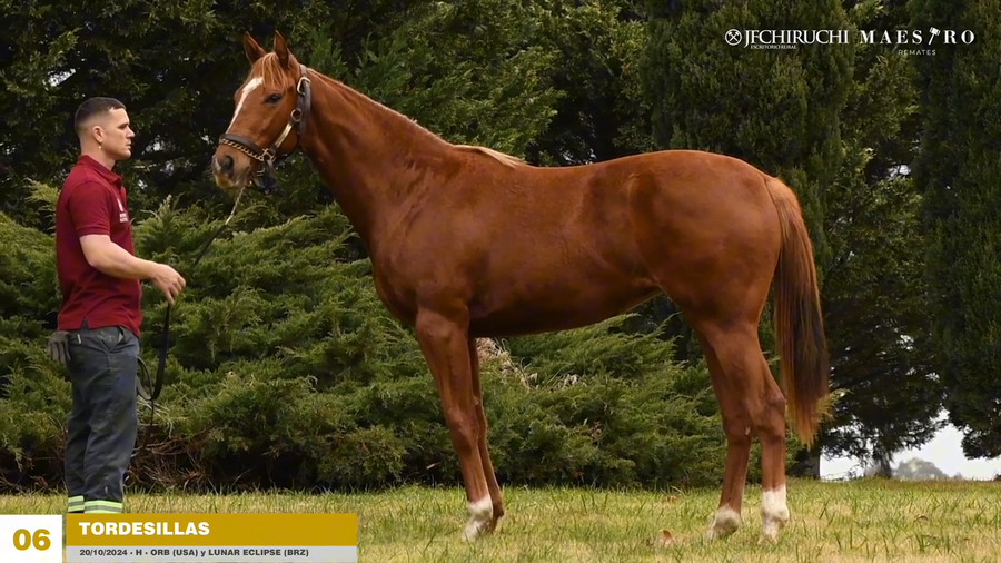 Lote TORDESILLAS