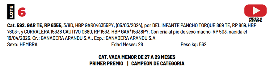 Lote LOTE 6