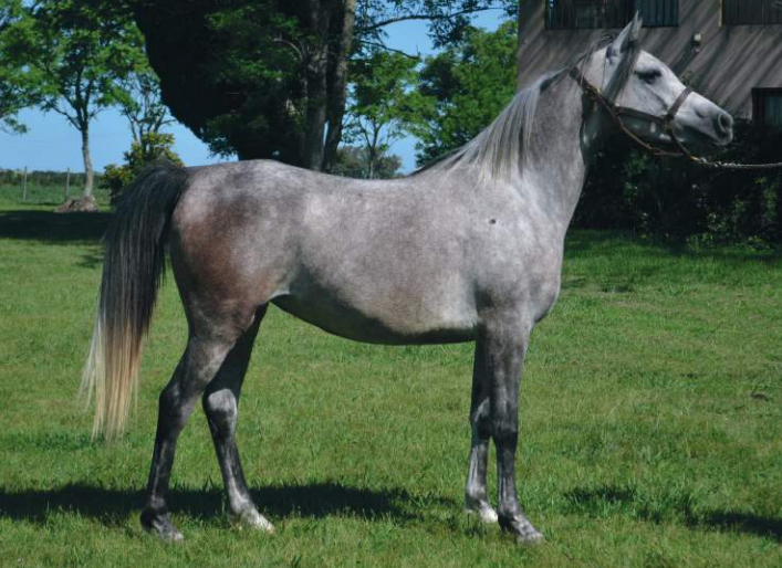 Lote BARRANQUILLA HLM