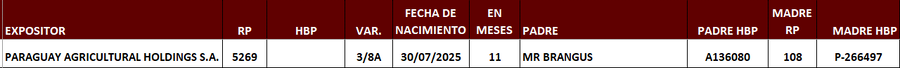 Lote LOTE 11