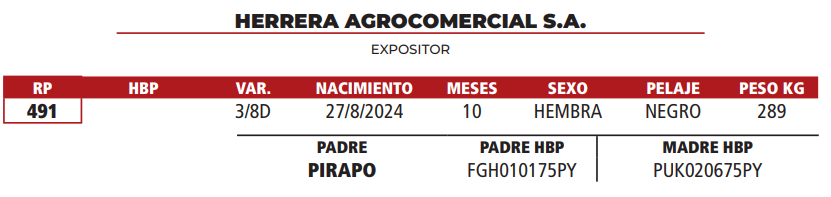 Lote LOTE 5