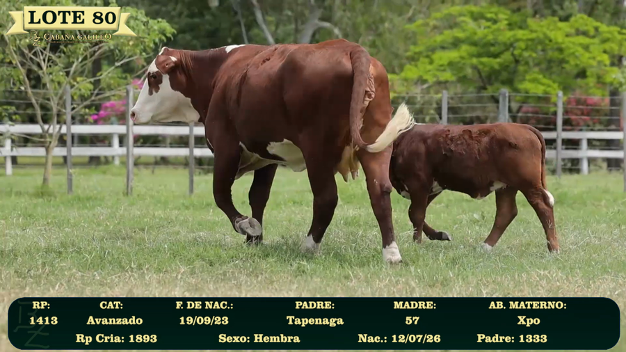 Lote LOTE 80