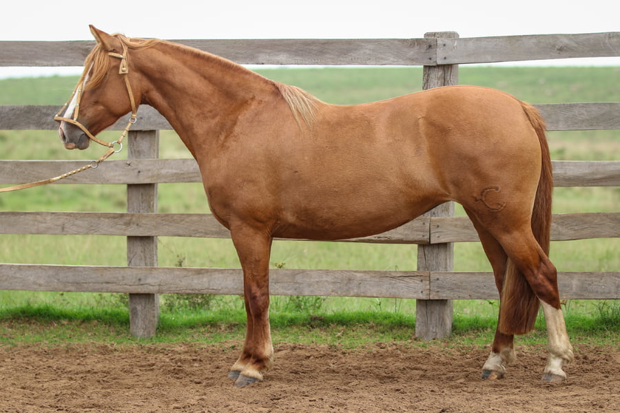 Lote Cañada de los Recuerdos