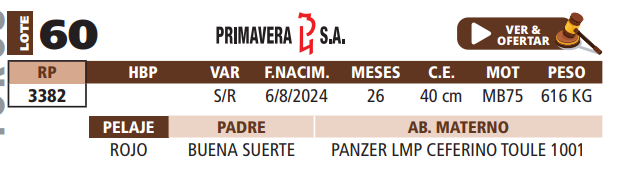 Lote LOTE 60