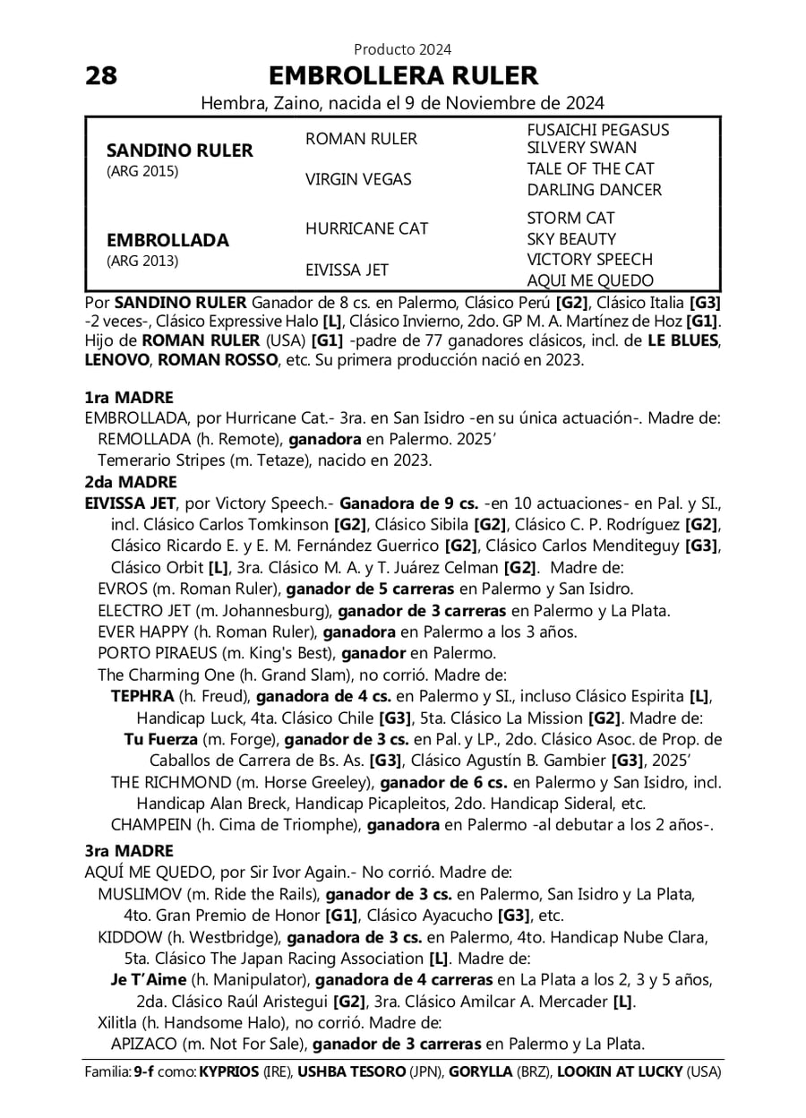 Lote EMBROLLERA RULER (SANDINO RULER -  EMBROLLADA)