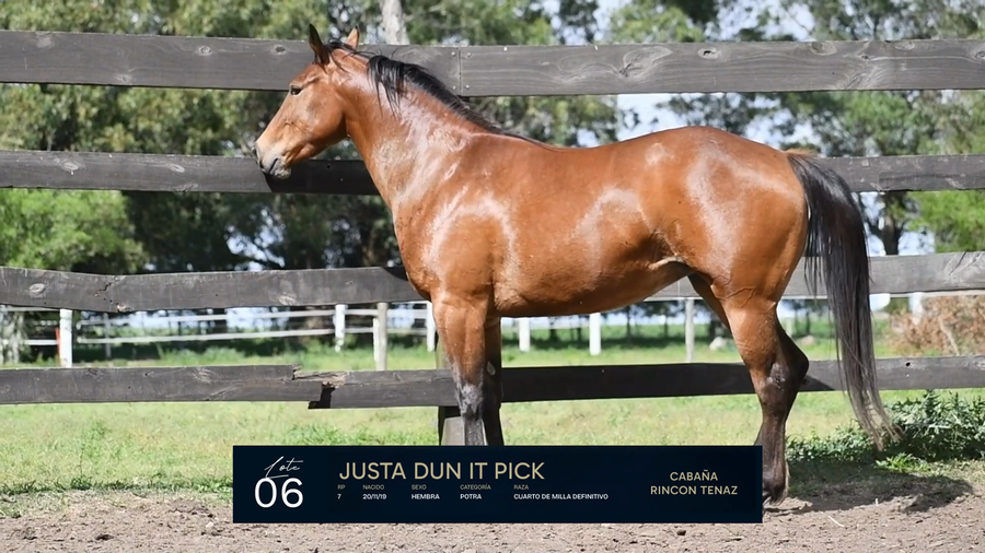 Lote JUSTA DUN IT PICK