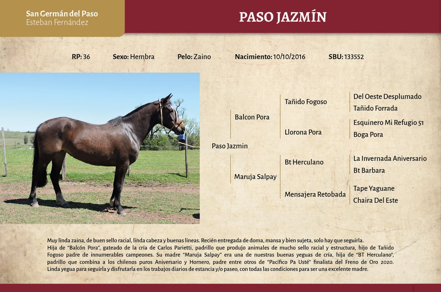 Lote Paso Jazmín (RP 36) - Cabaña San German del Paso