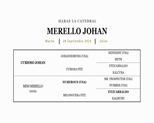 Lote OUTSHINED (CATCHER IN THE RYE - FORTY MONTERA)