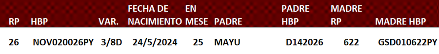 Lote LOTE 37
