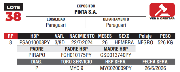 Lote LOTE 38 - DE CAMPO