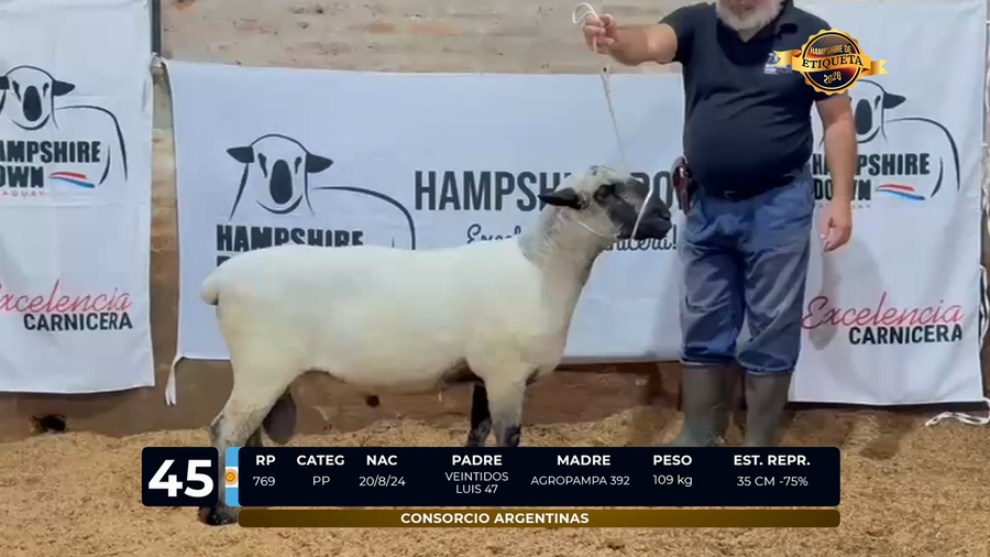 Lote LOTE 45
