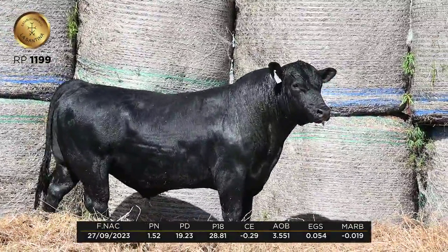 Lote LA SANTINA 4 REAL 366-1199