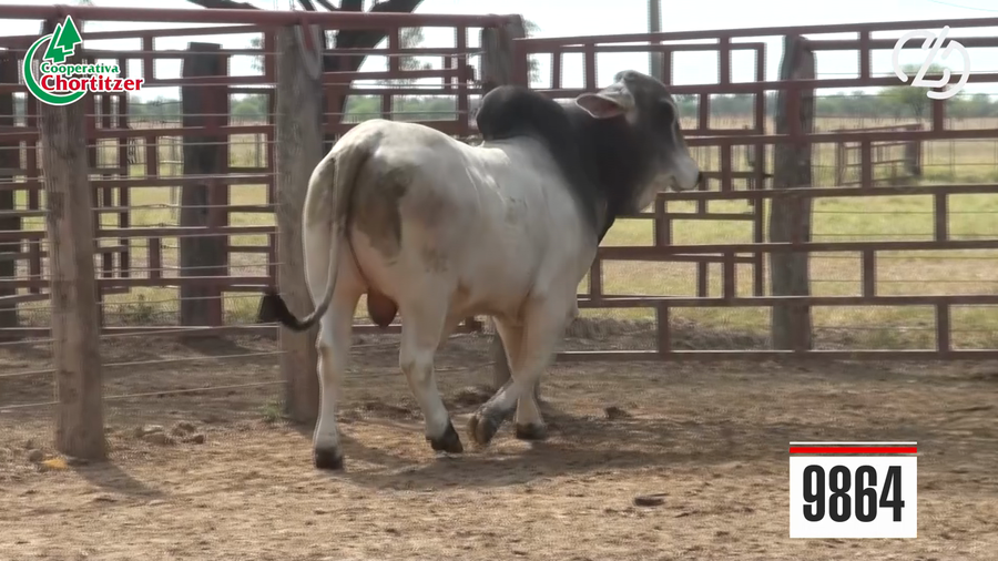 Lote Brahman