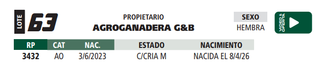 Lote LOTE 63