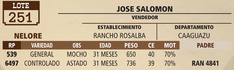 Lote LOTE 251 - VIVO