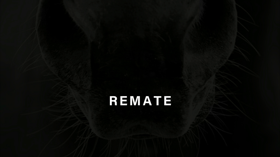 Lote CANDY MALA (SEÑOR CANDY -  MALEDUCADA)