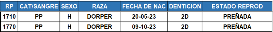 Lote LOTE 56