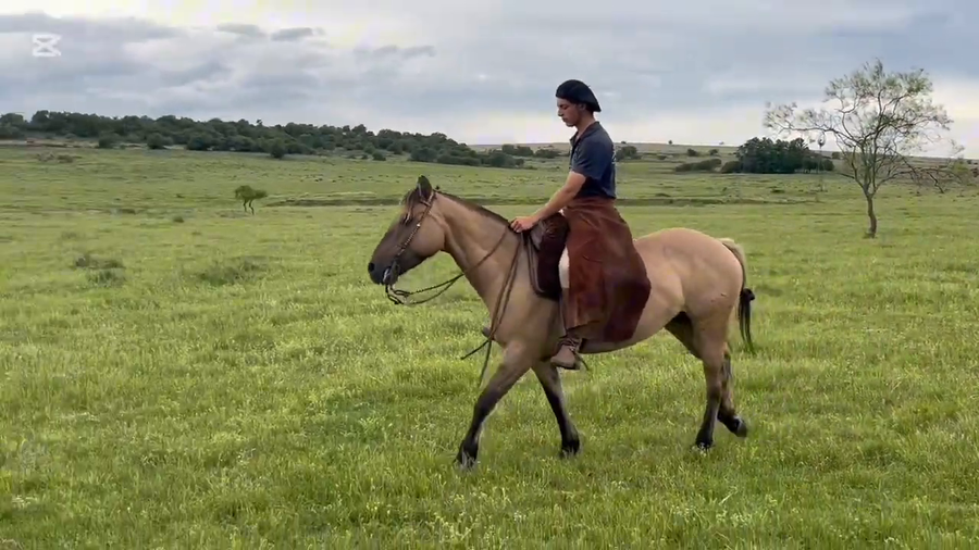 Lote GS ALBORADA DE SAN PEDRO