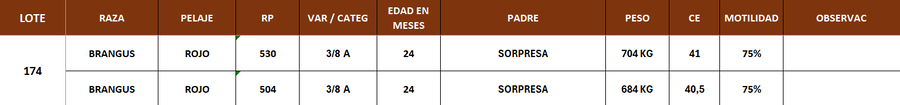 Lote LOTE 174