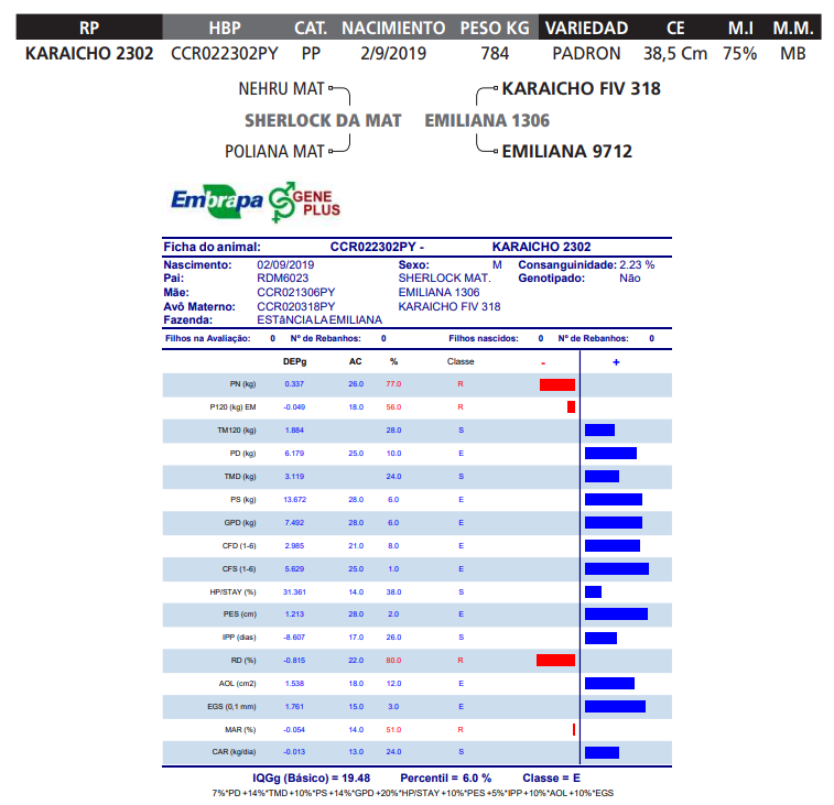 Lote LOTE 33