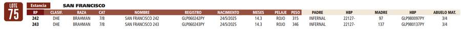 Lote LOTE 75