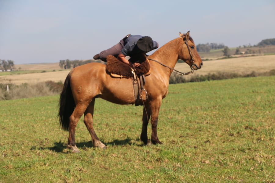 Lote YO SOLITO DEL CONVENTOS