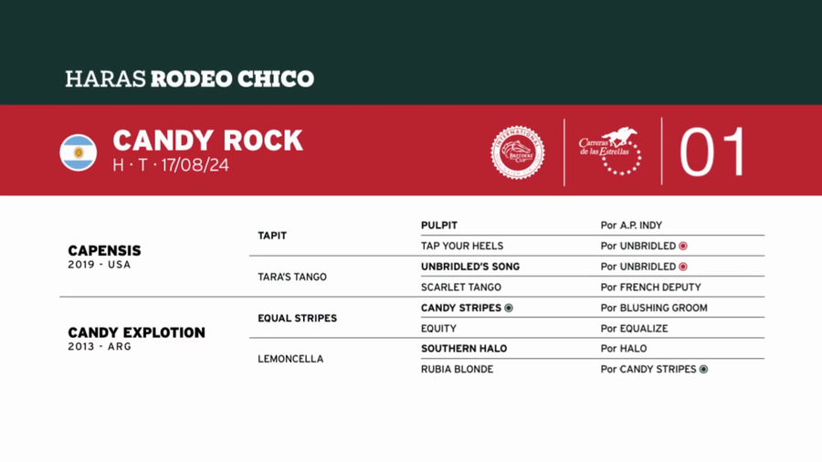 Lote CANDY ROCK