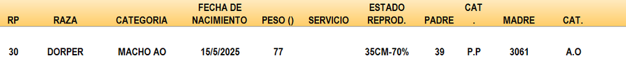 Lote LOTE 36