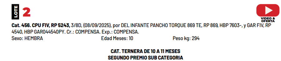 Lote LOTE 2