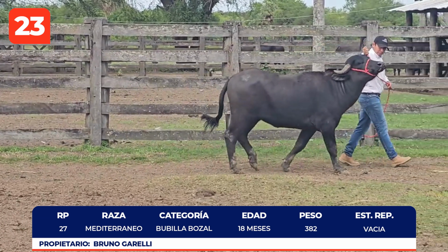 Imagen 1 del Lote Lote LOTE 23