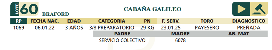 Lote LOTE 60