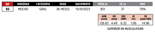 Lote LOTE 15