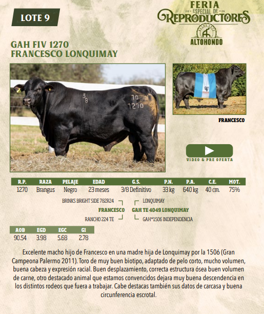 Lote LOTE 9