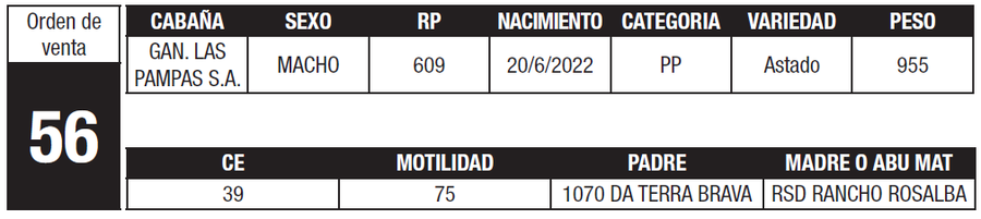 Lote LOTE 56