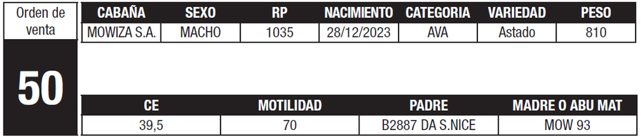 Lote LOTE 50