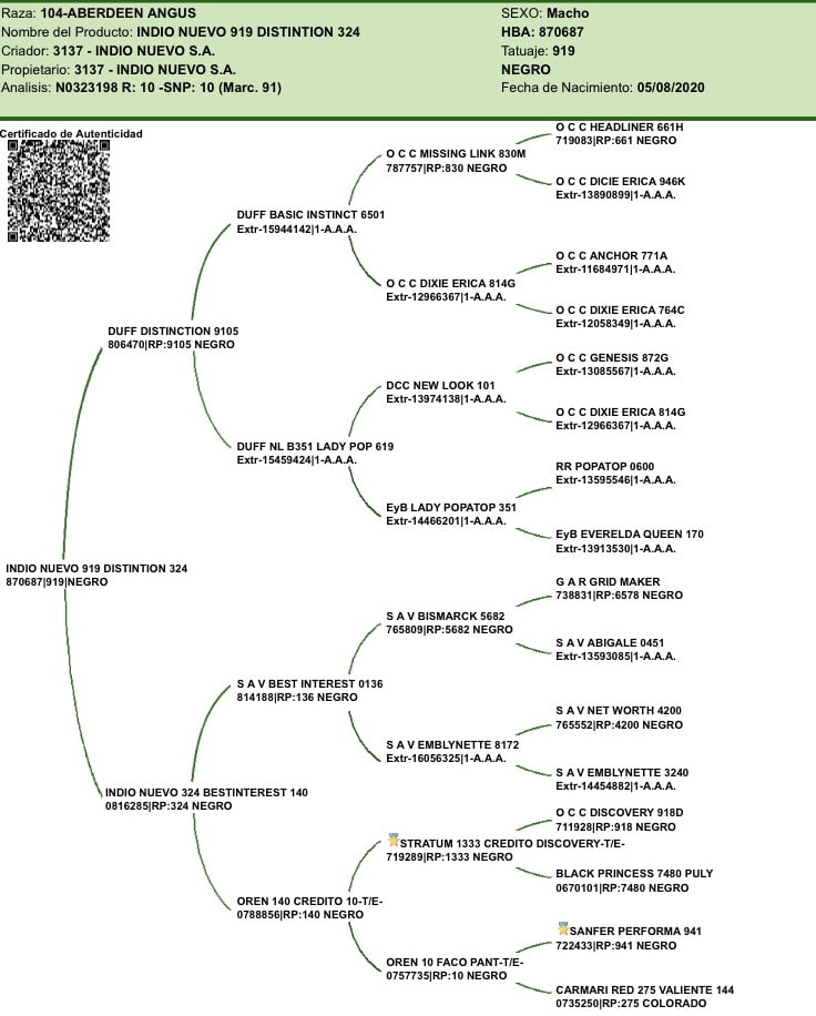 Lote "Toros ""SANTA ROSA"""