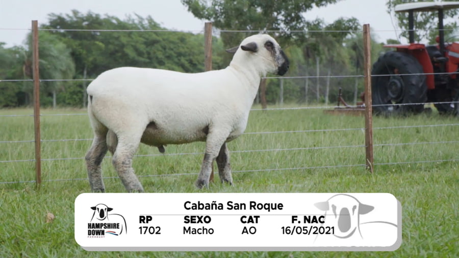 Lote LOTE 9 BOZAL - RP 1702