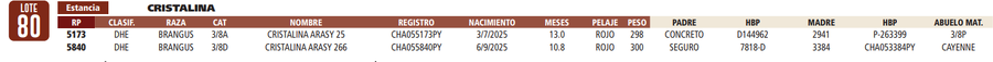 Lote LOTE 80